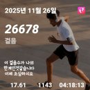 서울둘레길4코스(망우.용마산구간)에조성된 용마산스카이워크 개통.망우수국길로 이어지는 데크산책길과 중랑전망대지나 망우역사문화공원산책로일주 이미지