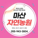 회성동255 이미지