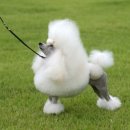 서울한빛동물병원 이미지