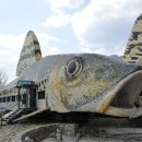 아우라지식당 이미지