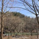 가평 썬 캠핑장 이미지