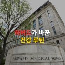 면역혁명 | 피곤한 게 당연한 줄 알았는데, 하버드는 아니라고 했다