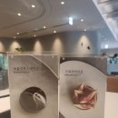 사우스케이프갤러리아명품관카페 | 메종 사우스케이프 카페 & 레스토랑 도산공원카페 모던하고 세련된 공간