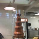 초콜릿월드 이미지