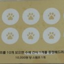 주방에 온 댕댕이 이미지