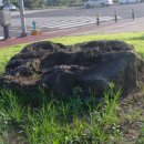 도련지석묘 1호 이미지