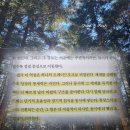 주식회사 블록체인케이 | 달러 역설 책 | 오태민 책 후기 | 가장 완벽해 보이는 통제가 가장 위험한 이유 추천 리뷰 핵심 요약