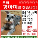 슈슈 이미지