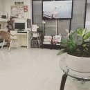 리빙스톤치과의원 이미지