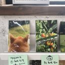 행운샵 이미지