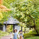 구성사슴농장 이미지