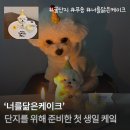 너를닮은케이크 이미지