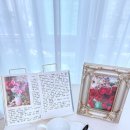 다윗 CO. | 시편7편 7일차 성경필사 | 내돈내산 유니볼에어마이크로 사용안할이유 무엇인가?🌿