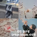 압구정 빈칸에서 열린 Urban Bloom 사진전 후기