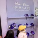 정원슈퍼 | 에버랜드 워킹사파리 오픈런 성공 후기! 슈퍼윙스 애니멀톡 명당 좌석과 나비정원 꿀팁까지