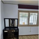 별이애견 이미지