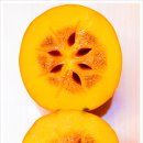 부여하늘농장 이미지