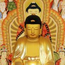 심광사 목조석가모니불좌상 이미지