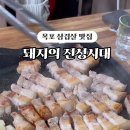 돼지의전성시대 이미지