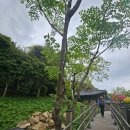 남도오백리역사숲길 | 미황사 땅끝 아름다운 절,