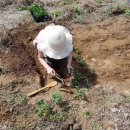 수인농장 이미지