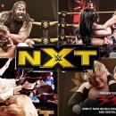 WWE가 선정한 NXT 최고의 경기 TOP 10 이미지