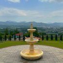 [경남 거창] 이수미팜베리 농가레스토랑&amp;카페&amp;펜션 | 아름다운 경관을 보며 힐링하는 거창 창포원 맛집