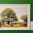 완월동157 이미지