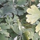 인천향교회관 이미지