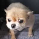 묘도1길 이미지