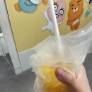 1008-1009 대전 빵지순례 1박2일 뚜벅이여행 (오씨칼국수, 성심당 본점, 소품샵 투어)