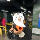 뚜벅이 1박 2일 여행 - 2일차 :오셜록 티 뮤지엄, 9.81 제주파크, 돌빌레, 구엄포구(제주공항 주변 관광지)