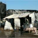 백여농장 이미지