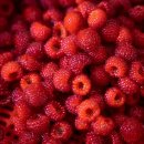 덕곡농장 이미지