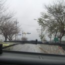 보물섬민박 이미지