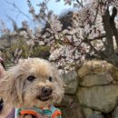 가덕도식당 이미지