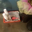 용두대로21길 이미지