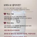 누보셀