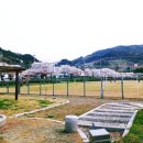 단성생활체육공원 이미지