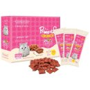 CY요셉트레이딩 이미지