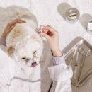 야생동물의료센터 이미지