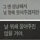 민에프씨 이미지
