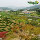 내손족구장 이미지