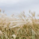 오름민박 이미지