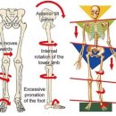 바른습관PT 이미지
