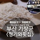 청기와 매운탕 | 부산 기장군 &lt;청기와횟집&gt; 아나고회 &amp; 매운탕 맛집 후기