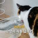 3공단3로3L-5 | 고양이 정수기 추천 코코시루 펫 자동 급수기 3