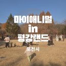 장애인 | 포천 마이애니멀스토리 평강랜드 입장료 할인 및 동물 먹이주기 후기