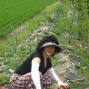 흥부농장 이미지