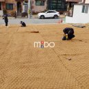 대학약국 이미지